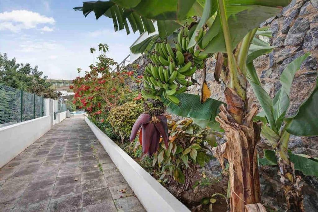 Paradise Studio Belair Wifi, Piscina, Parking Puerto de la Cruz  Exterior foto